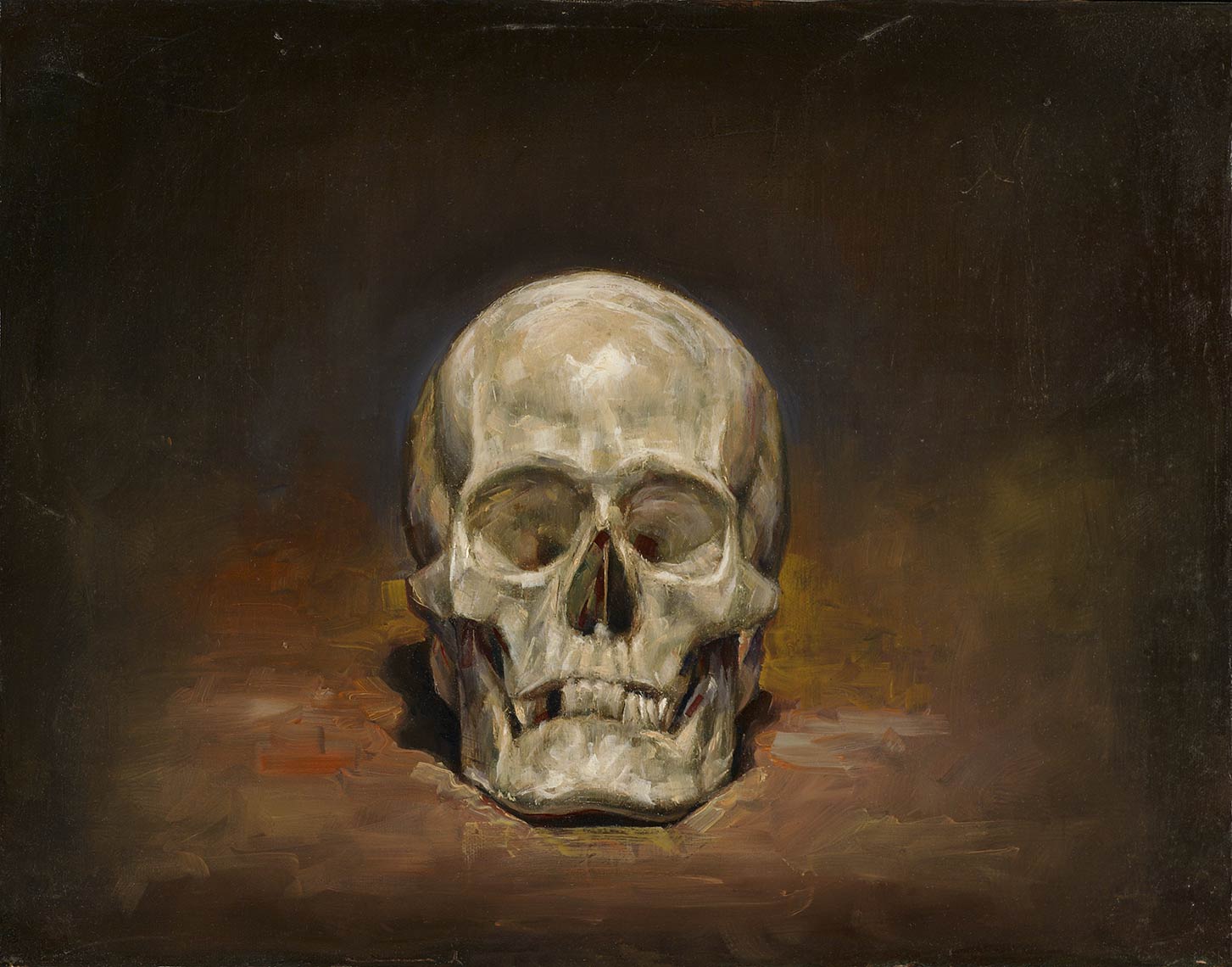 Skull_2009_oil-on-canvas_36x46_14x18_Private-Collection